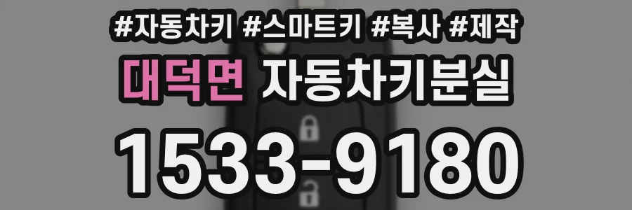 대덕면 자동차키분실