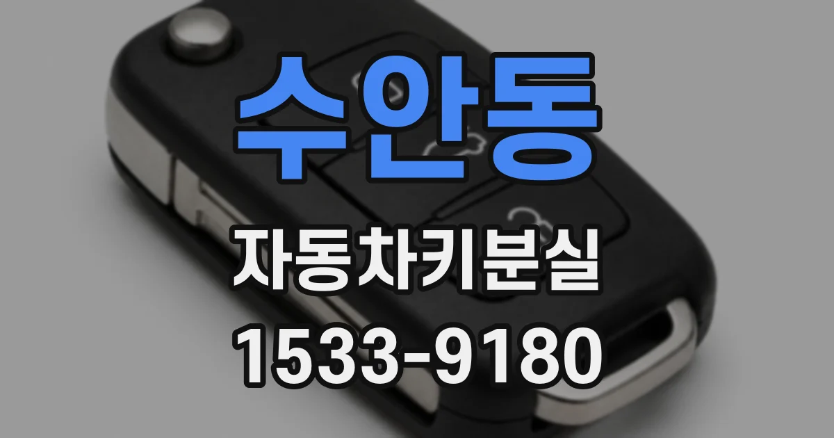 수안동 자동차키분실