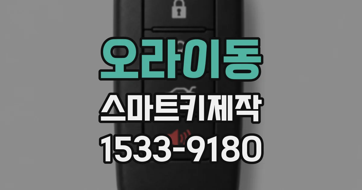 오라이동 스마트키제작
