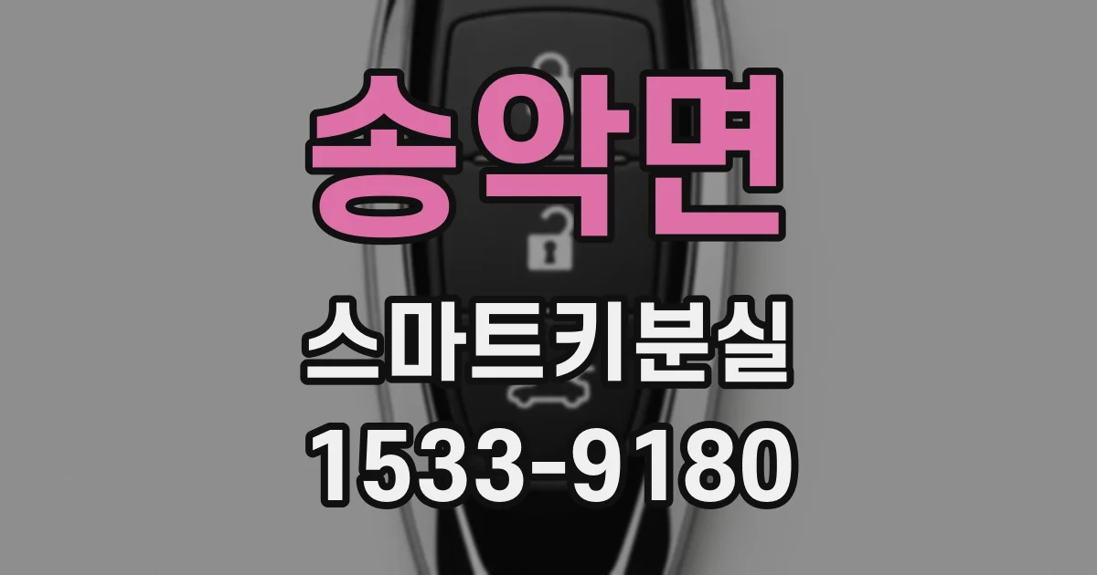 송악면 스마트키분실