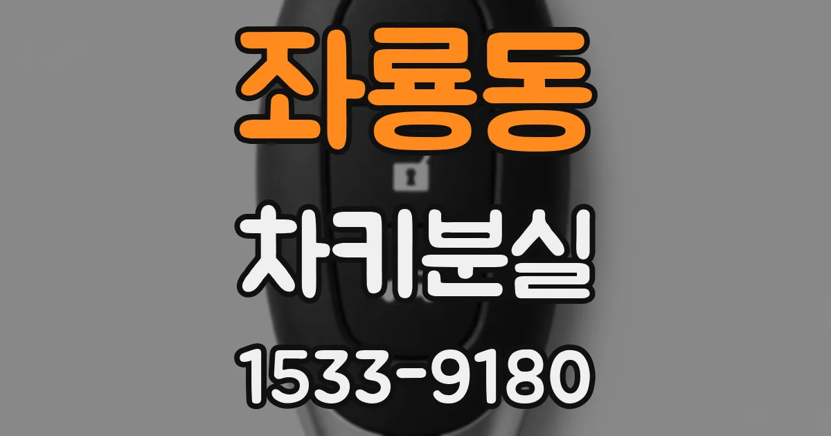 좌룡동 차키분실