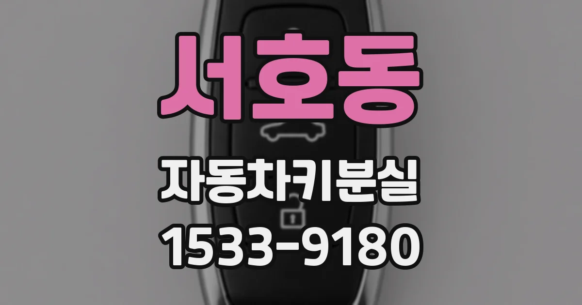 서호동 자동차키분실