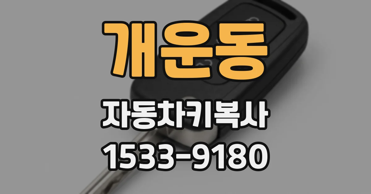 개운동 자동차키복사
