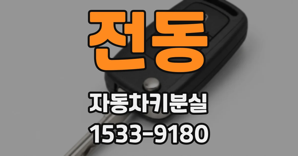 전동 자동차키분실