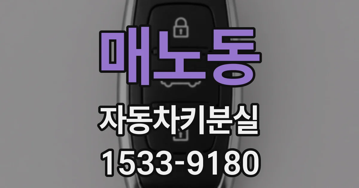 매노동 자동차키분실
