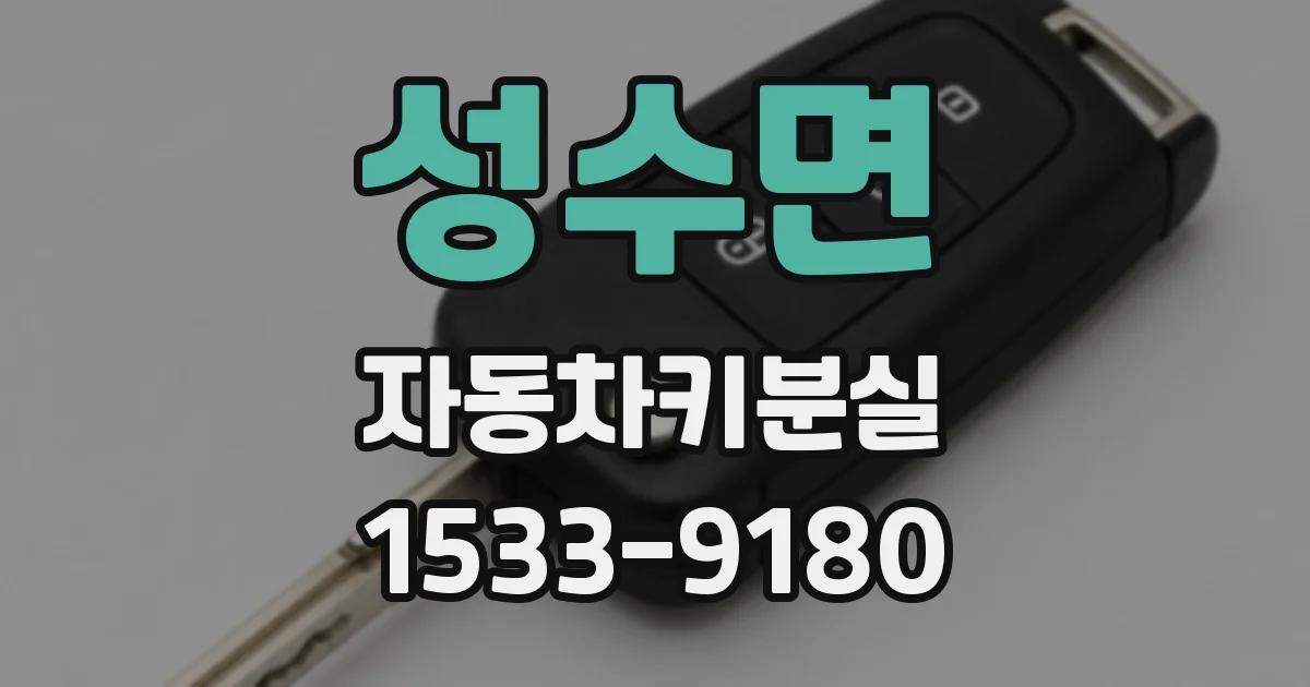 성수면 자동차키분실