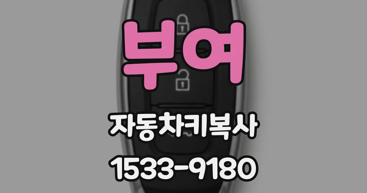 부여 자동차키복사
