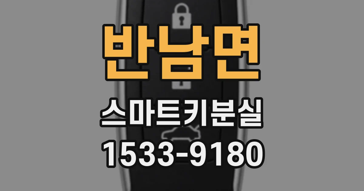 반남면 스마트키분실