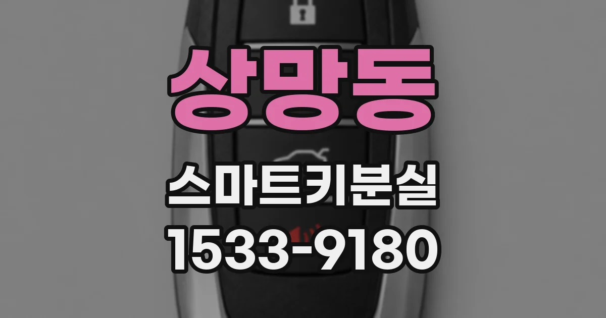 상망동 스마트키분실