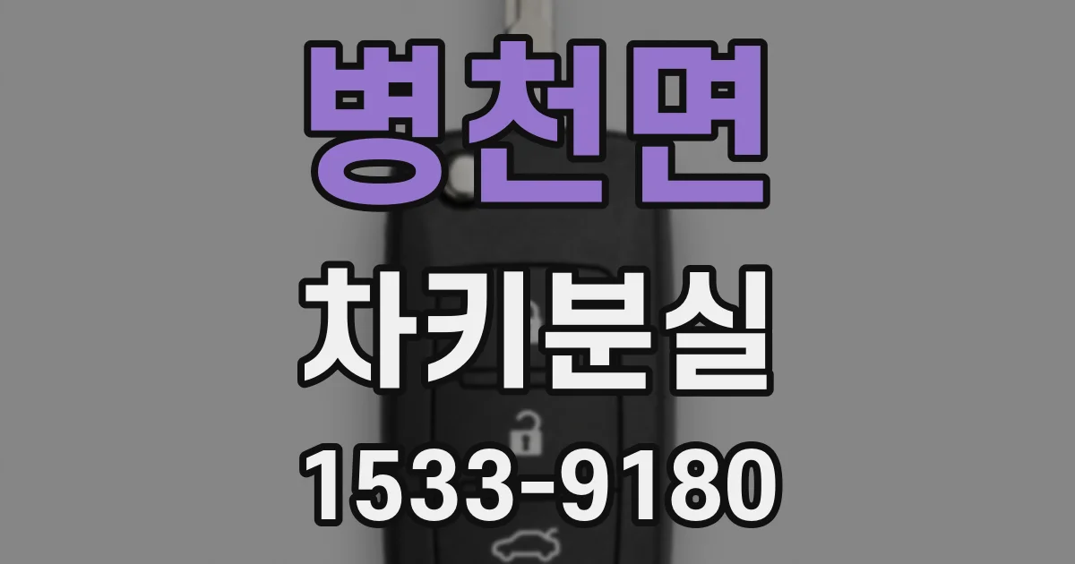 병천면 차키분실