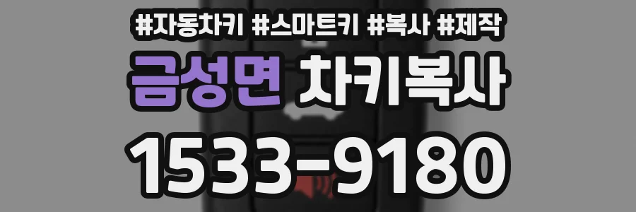 금성면 차키복사