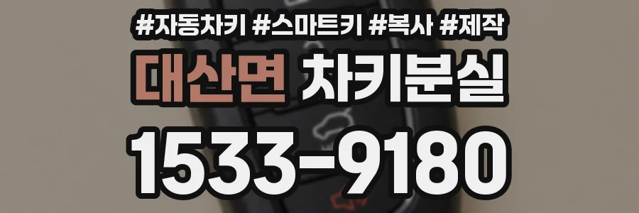 대산면 차키분실