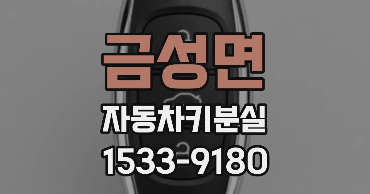 금성면 자동차키분실