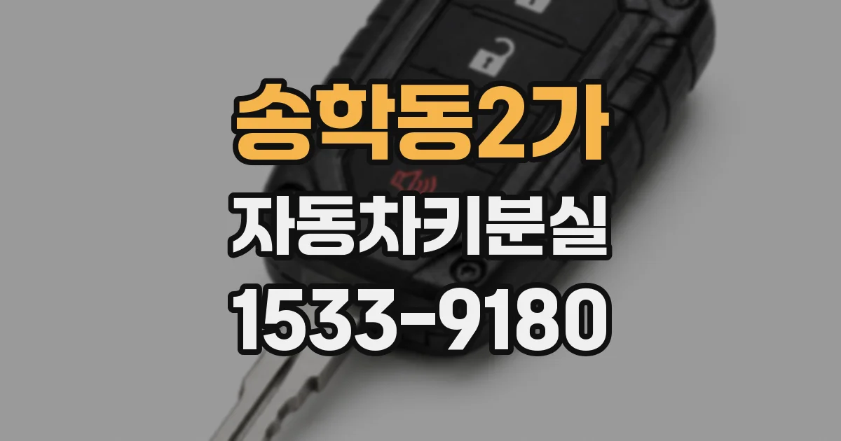 송학동2가 자동차키분실
