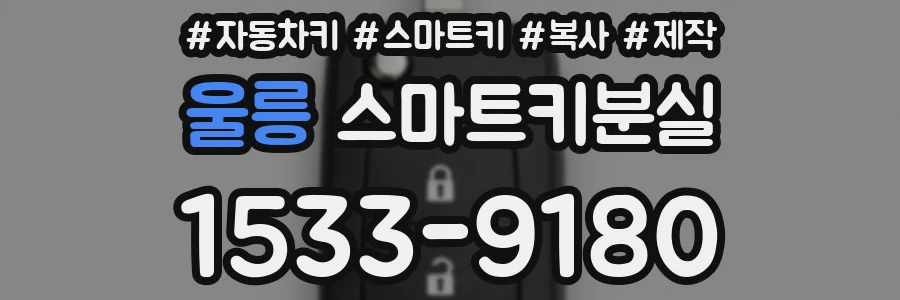 울릉 스마트키분실