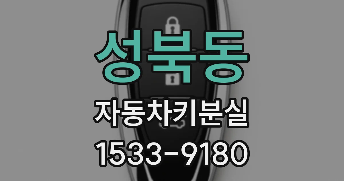 성북동 자동차키분실