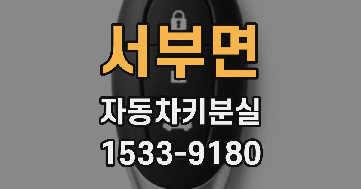 서부면 자동차키분실