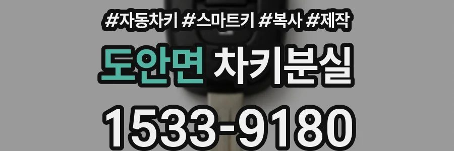 도안면 차키분실