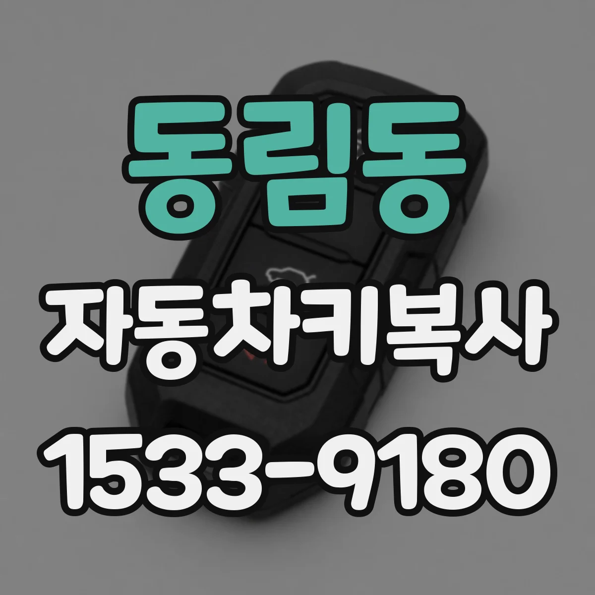동림동 자동차키복사