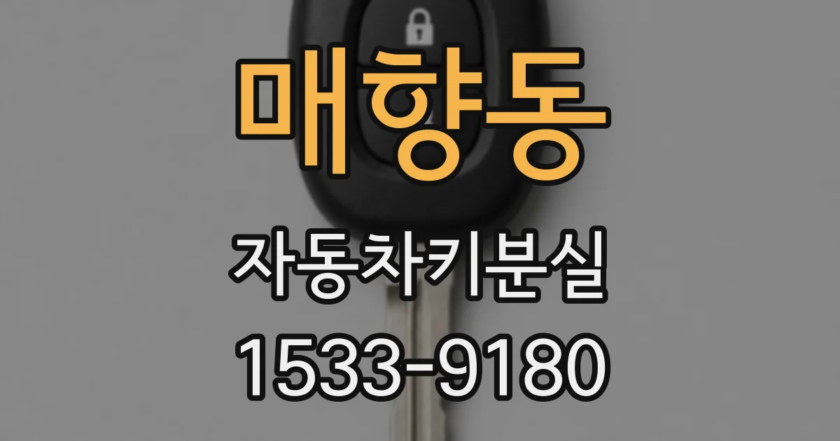 매향동 자동차키분실