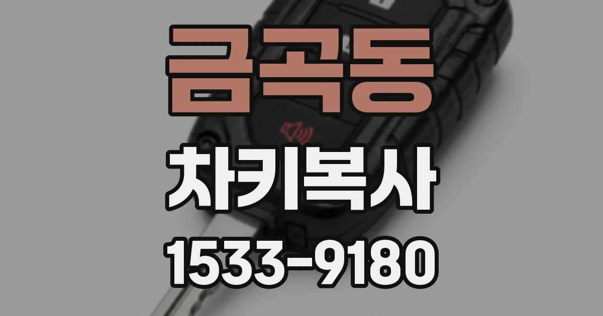 금곡동 차키복사