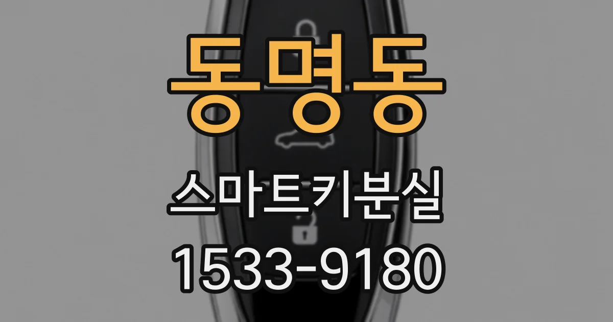 동명동 스마트키분실