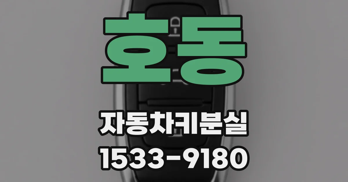 호동 자동차키분실