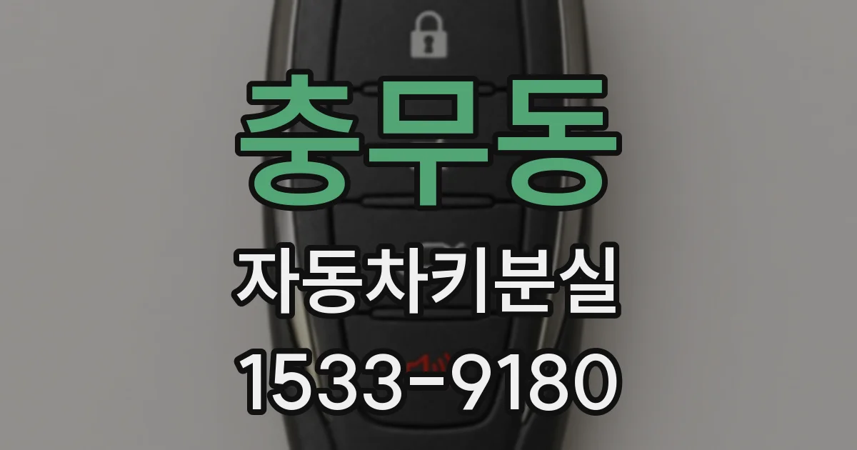 충무동 자동차키분실