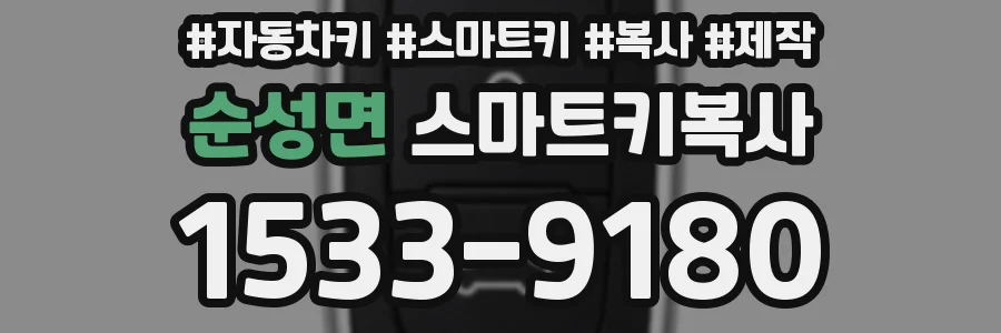순성면 스마트키복사