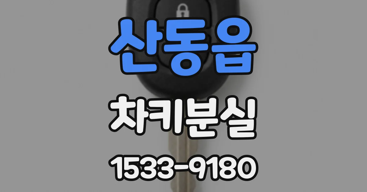 산동읍 차키분실