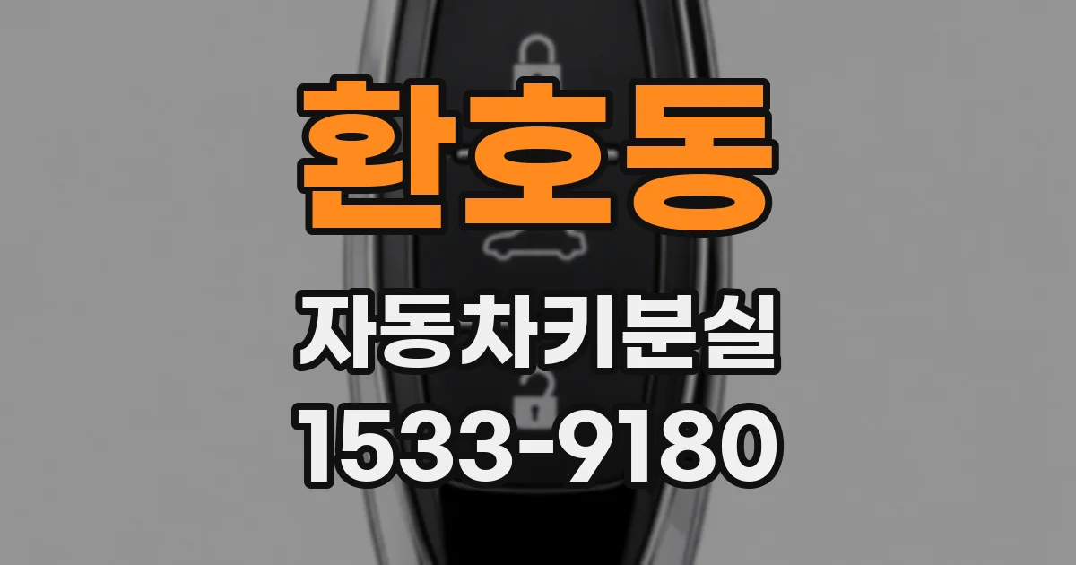 환호동 자동차키분실