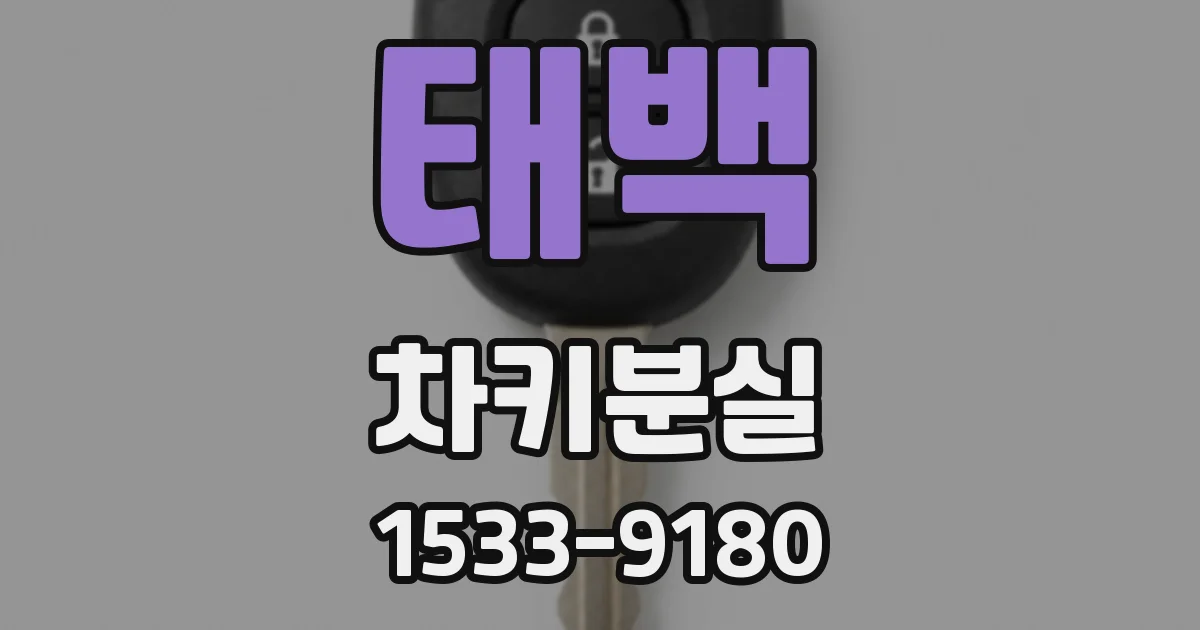 태백 차키분실