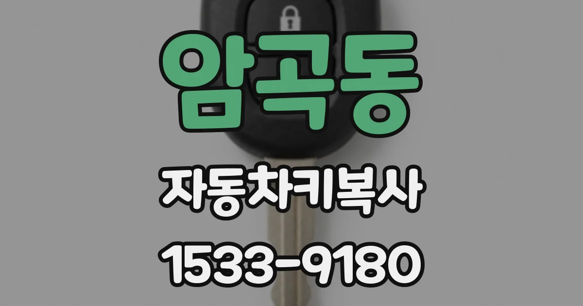 암곡동 자동차키복사