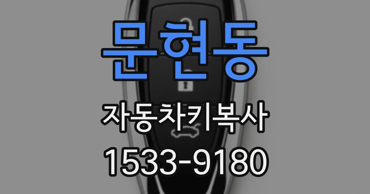 문현동 자동차키복사