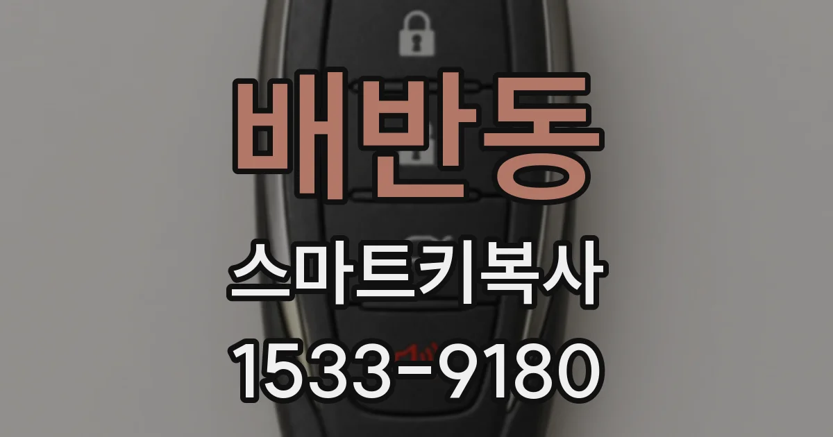 배반동 스마트키복사