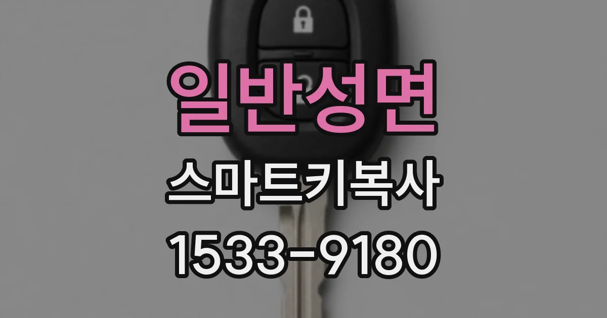 일반성면 스마트키복사