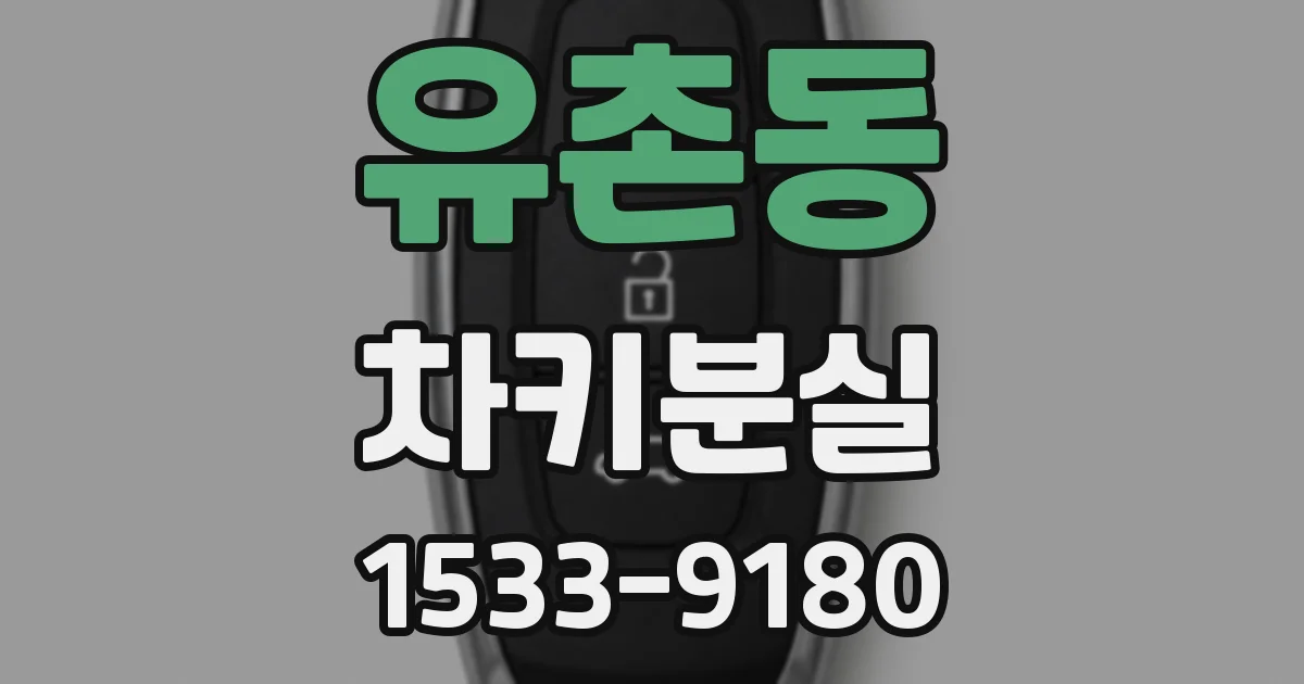 유촌동 차키분실
