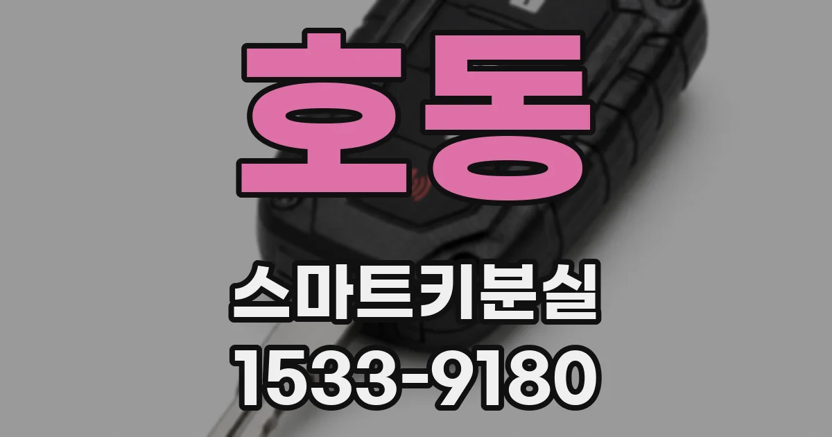 호동 스마트키분실