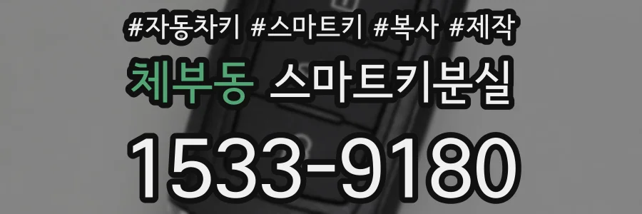 체부동 스마트키분실