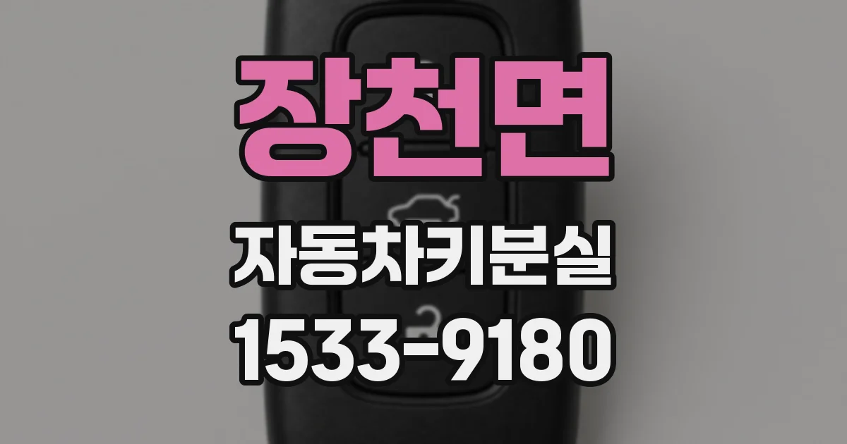 장천면 자동차키분실