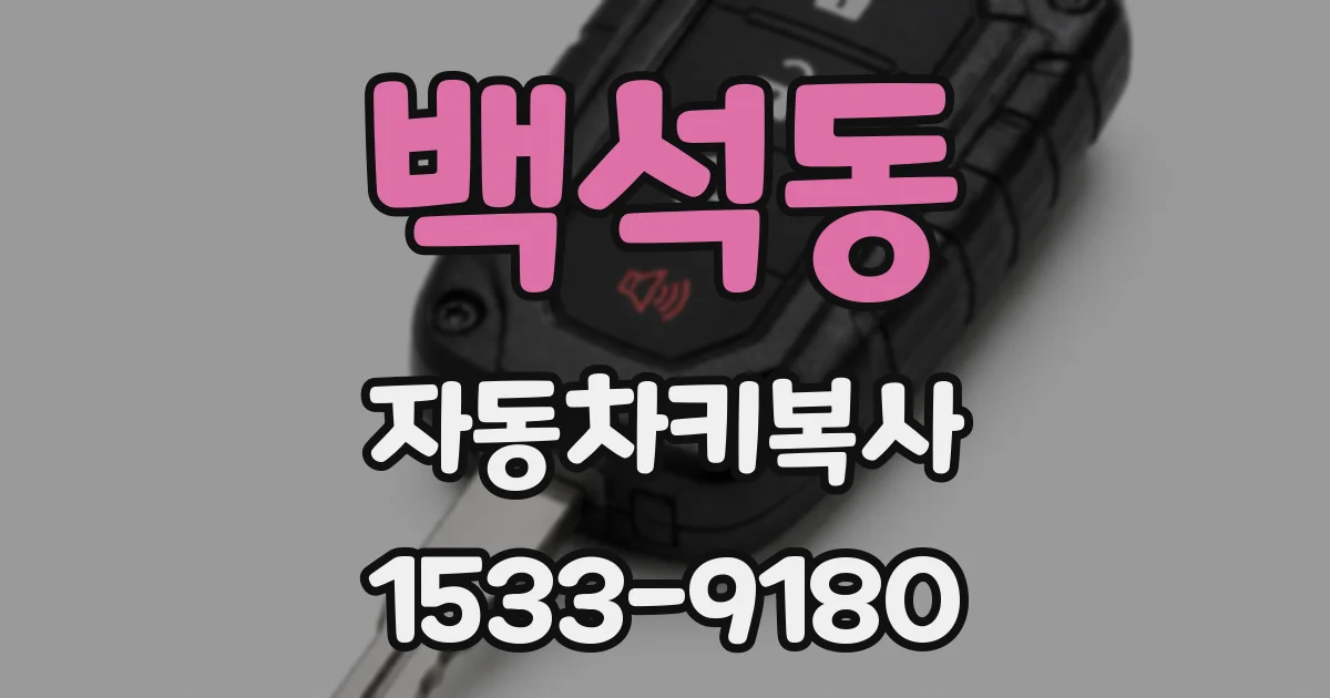 백석동 자동차키복사