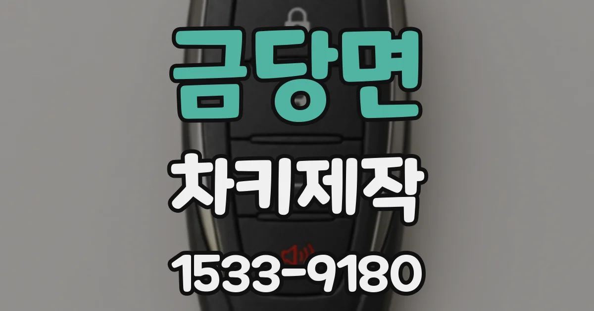 금당면 차키제작