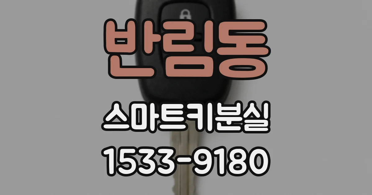 반림동 스마트키분실