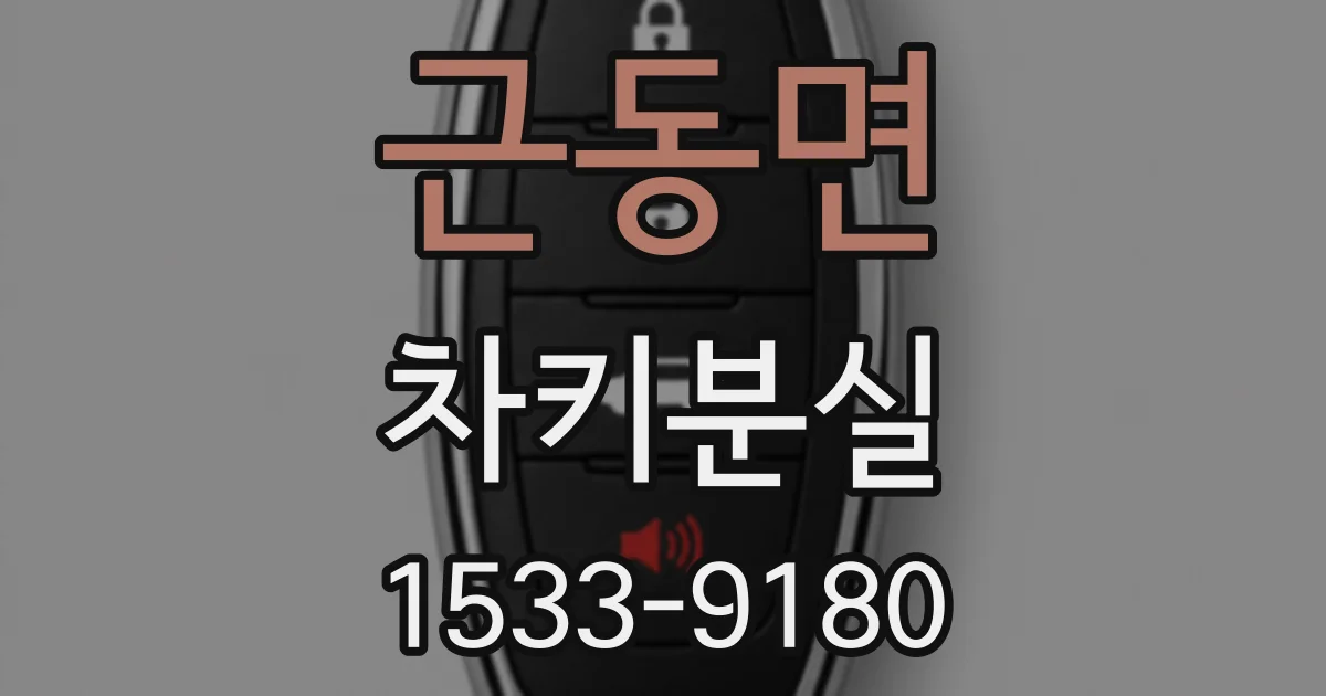 근동면 차키분실