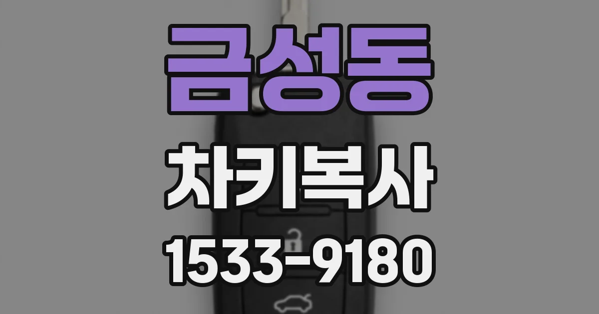 금성동 차키복사