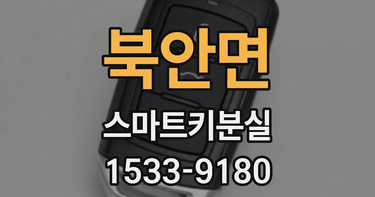 북안면 스마트키분실