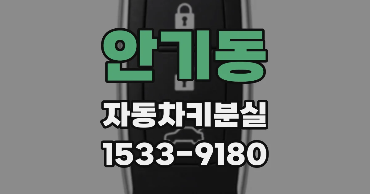 안기동 자동차키분실