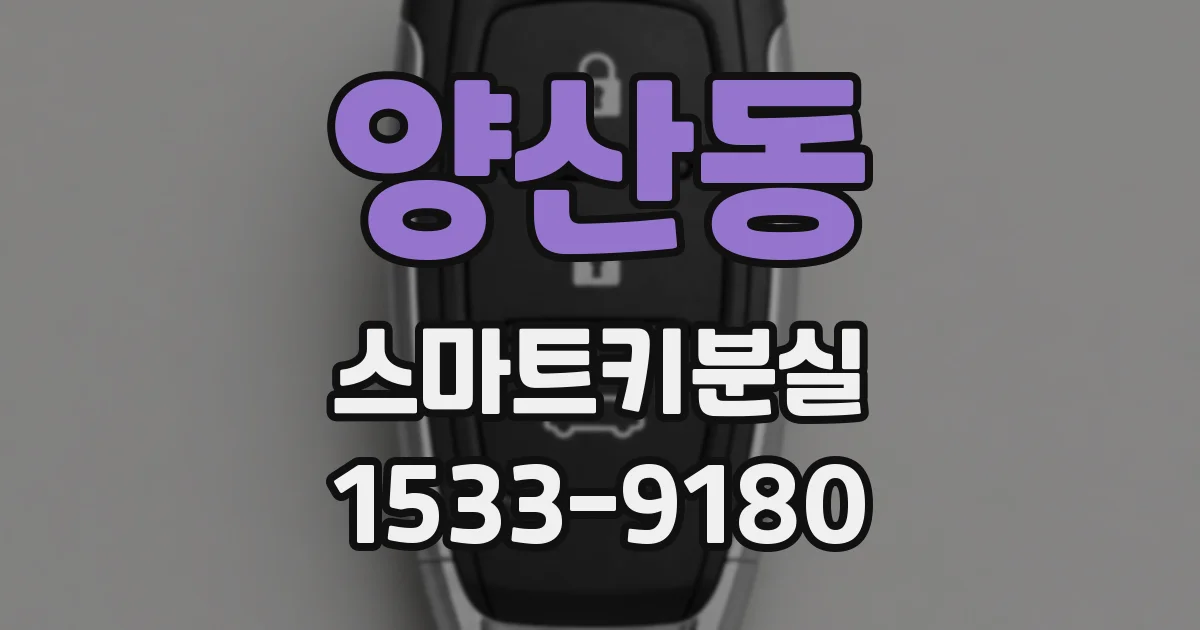 양산동 스마트키분실