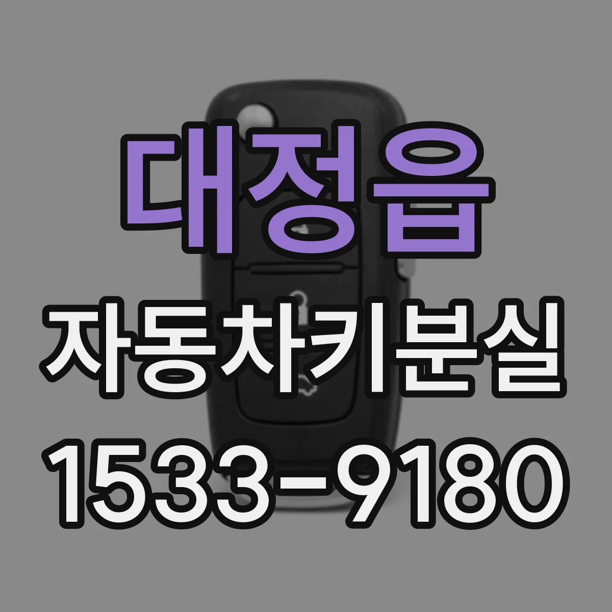 대정읍 자동차키분실