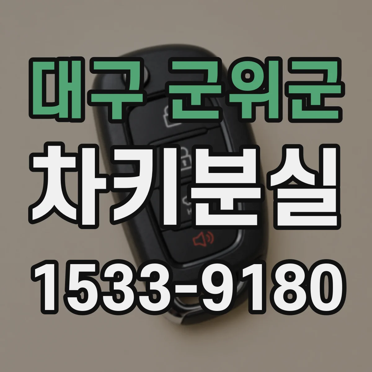 대구 군위군 차키분실